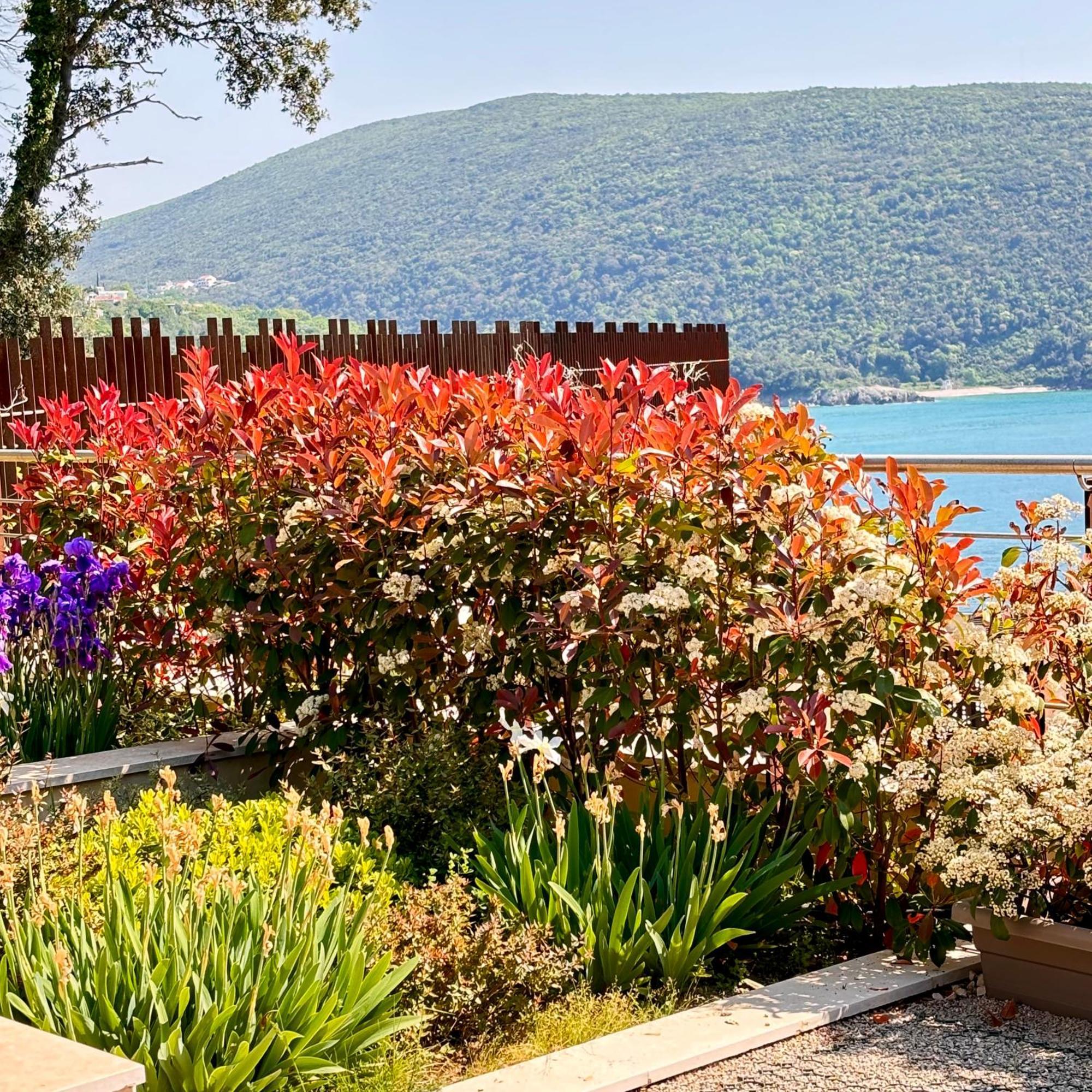 Apartmán Continuum Ulcinj Exteriér fotografie